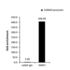 免疫捕获及质谱分析 免疫捕获及质谱分析