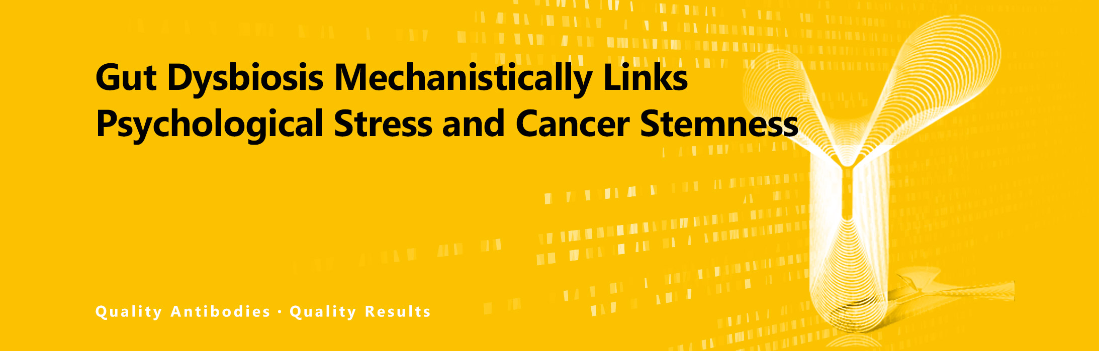 Gut Dysbiosis Mechanistically Links Psychological Stress and Cancer Stemness
