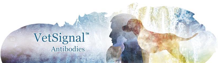 兽医科研抗体-VetSignal 兽医科研抗体-VetSignal