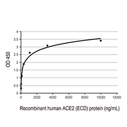 SARS-CoV-2 (COVID-19) Spike RBD protein, His tag (active) SARS-CoV-2 (COVID-19) Spike RBD protein, His tag (active)