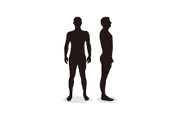 Human Immunoglobulins