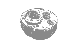 Browse Cell Lysate Products