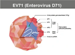 Enterovirus 71 Enterovirus 71