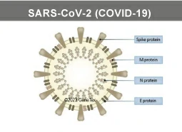 SARS-CoV-2 (COVID-19) SARS-CoV-2 (COVID-19)
