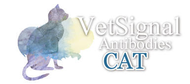 VetSignal Antibodies Cat VetSignal Antibodies Cat