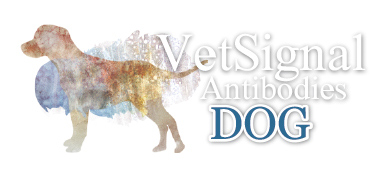 VetSignal Antibodies Dog VetSignal Antibodies Dog
