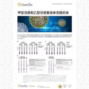 病毒宿主交互作用