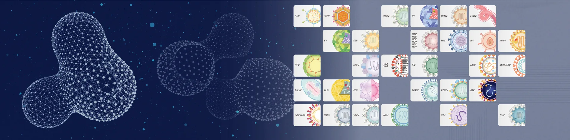 GeneTex - 病毒抗体专家