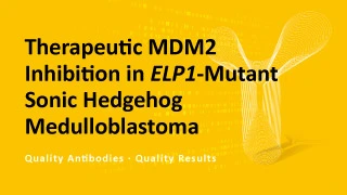 Therapeutic MDM2 Inhibition in ELP1-Mutant Sonic Hedgehog Medulloblastoma Therapeutic MDM2 Inhibition in ELP1-Mutant Sonic Hedgehog Medulloblastoma