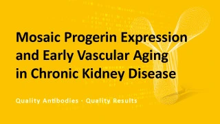 Mosaic Progerin Expression and Early Vascular Aging in Chronic Kidney Disease Mosaic Progerin Expression and Early Vascular Aging in Chronic Kidney Disease