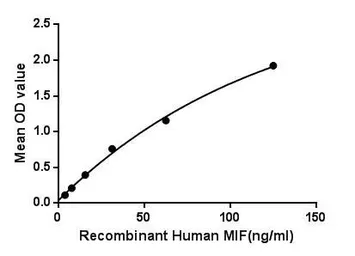 Human MIF protein, His and GST tag. GTX00197-pro