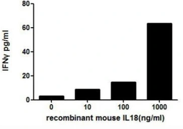 Mouse IL18 protein, His tag (active). GTX00284-pro