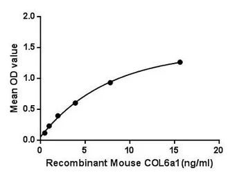 Mouse COL6A1 protein, His tag. GTX00317-pro