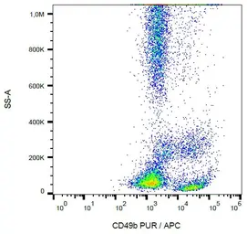 Anti-Integrin alpha 2 antibody [AK7] used in Flow cytometry (FCM). GTX00462