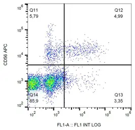 Anti-CD57 antibody [TB01] (FITC) used in Flow cytometry (FCM). GTX00463-06