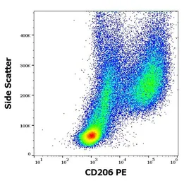 Anti-Mannose Receptor antibody [15-2] (PE) used in Flow cytometry (FCM). GTX00491-08
