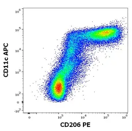 Anti-Mannose Receptor antibody [15-2] (PE) used in Flow cytometry (FCM). GTX00491-08