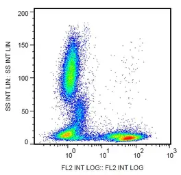 Anti-CD5 antibody [L17F12] (Biotin) used in Flow cytometry (FCM). GTX00525-02