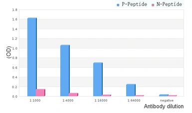Anti-TIE2 (phospho Tyr897) antibody used in ELISA (ELISA). GTX00795