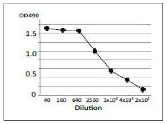Anti-Verotoxin / Shiga toxin (SLT-1 + SLT-2) subunit A antibody [vero-01] used in ELISA (ELISA). GTX00863