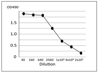 Anti-Staphylococcus aureus Enterotoxin A + Enterotoxin B antibody [sa-01] used in ELISA (ELISA). GTX00864