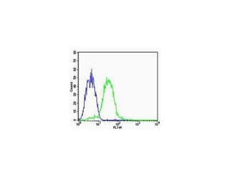 Anti-CHI3L1 antibody used in Flow cytometry (FCM). GTX02539