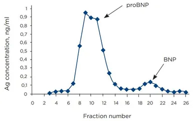 Anti-BNP antibody [24C5] used in ELISA (ELISA). GTX04088