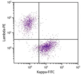 Goat Anti-Human lambda light chain antibody, F(ab')2 fragment, pre-adsorbed (PE). GTX04135-08
