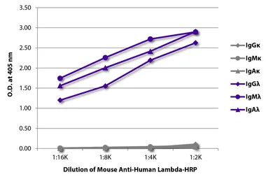 Mouse Anti-Human lambda light chain antibody [JDC-12] (HRP). GTX04185-01