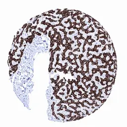 Anti-Hepatocyte Specific Antigen antibody [MSVA-OCE5] HistoMAX&trade; used in IHC (Paraffin sections) (IHC-P). GTX04478