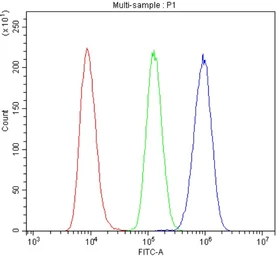 Anti-Integrin beta 4 antibody used in Flow cytometry (FCM). GTX04496
