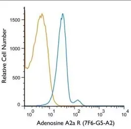 Anti-Adenosine A2a Receptor antibody [7F6-G5-A2] used in Flow cytometry (FCM). GTX04561