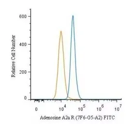 Anti-Adenosine A2a Receptor antibody [7F6-G5-A2] used in Flow cytometry (FCM). GTX04561