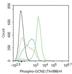 Anti-GCN2 (phospho Thr899) antibody used in Flow cytometry (FCM). GTX04587