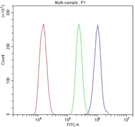 Anti-IL3 Receptor beta antibody used in Flow cytometry (FCM). GTX04641