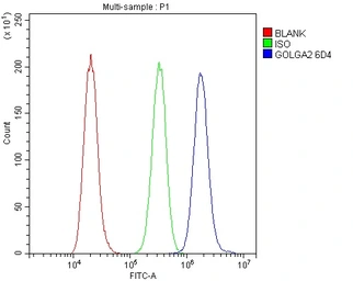 Anti-GM130 antibody [6D4] used in Flow cytometry (FCM). GTX04699