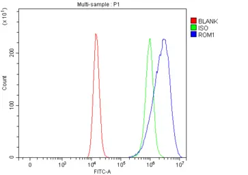 Anti-ROM1 antibody used in Flow cytometry (FCM). GTX04781
