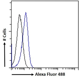 Anti-PLA2R1 antibody used in Flow cytometry (FCM). GTX05094