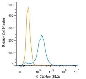 Anti-O-GlcNAc antibody [RL2] used in Flow cytometry (FCM). GTX05118