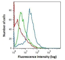 Anti-Iba1 antibody used in Flow cytometry (FCM). GTX101495