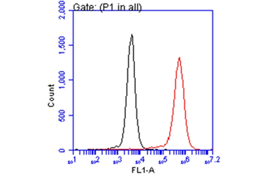 Anti-Iba1 antibody used in Flow cytometry (FCM). GTX101495