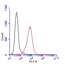 Anti-Glypican 1 antibody [N3C3] used in Flow cytometry (FCM). GTX104557