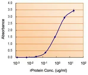 Anti-Monoamine Oxidase B antibody [N2C3] used in ELISA (ELISA). GTX105970