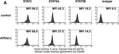 Anti-STAT3 antibody used in Flow cytometry (FCM). GTX108630