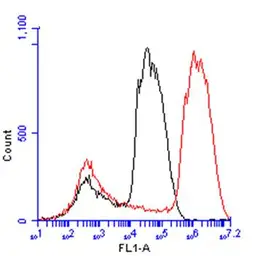 Anti-Arginase 1 antibody used in Flow cytometry (FCM). GTX109242