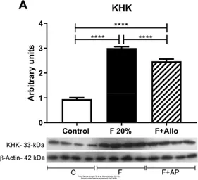 Anti-Ketohexokinase antibody [N1C3] used in Western Blot (WB). GTX109591