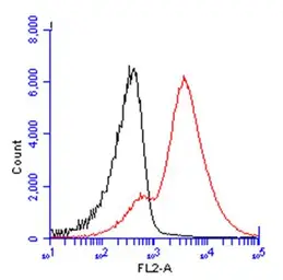 Anti-CD3 gamma antibody [C1C3] used in Flow cytometry (FCM). GTX111878