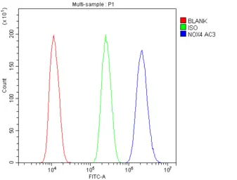 Anti-NOX4 antibody used in Flow cytometry (FCM). GTX12205