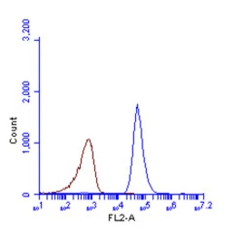 Anti-LC3B antibody used in Flow cytometry (FCM). GTX127375