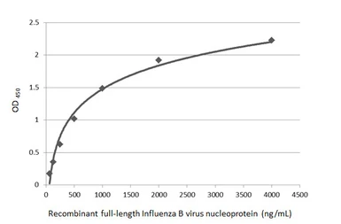 Anti-Influenza B virus Nucleoprotein antibody used in ELISA (ELISA). GTX128538